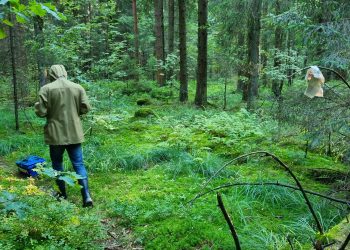 В Запорожской области определят лучшего эколога региона